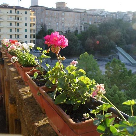 Alla Residenza Domus Minervae Perugia Oda fotoğraf