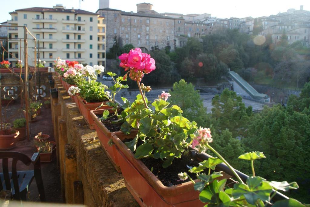 Alla Residenza Domus Minervae Perugia Oda fotoğraf